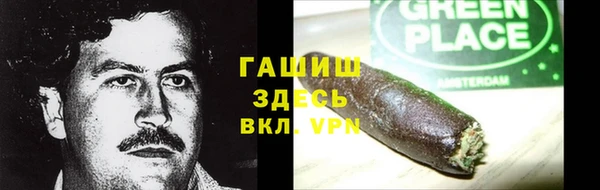 прущие грибы Алзамай