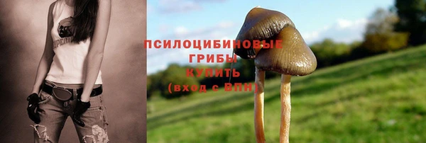 хмурый Абдулино