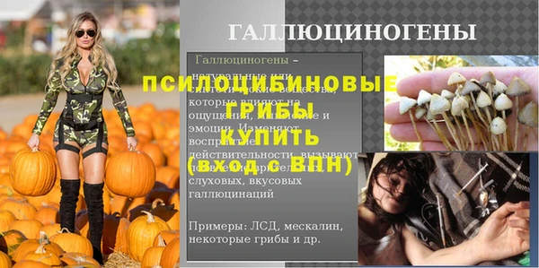 СК Сатка