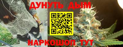 apvp Бердск