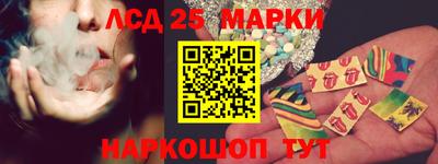 apvp Бердск