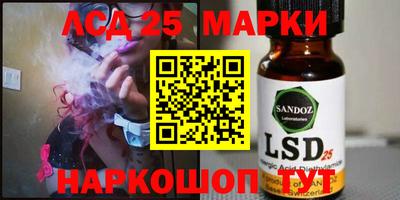 apvp Бердск