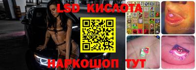 apvp Бердск
