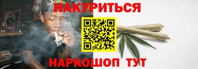 apvp Бердск