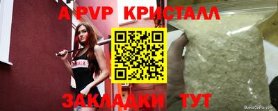 apvp Бердск
