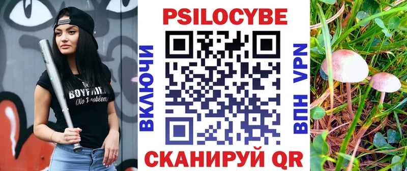 Псилоцибиновые грибы GOLDEN TEACHER Вичуга