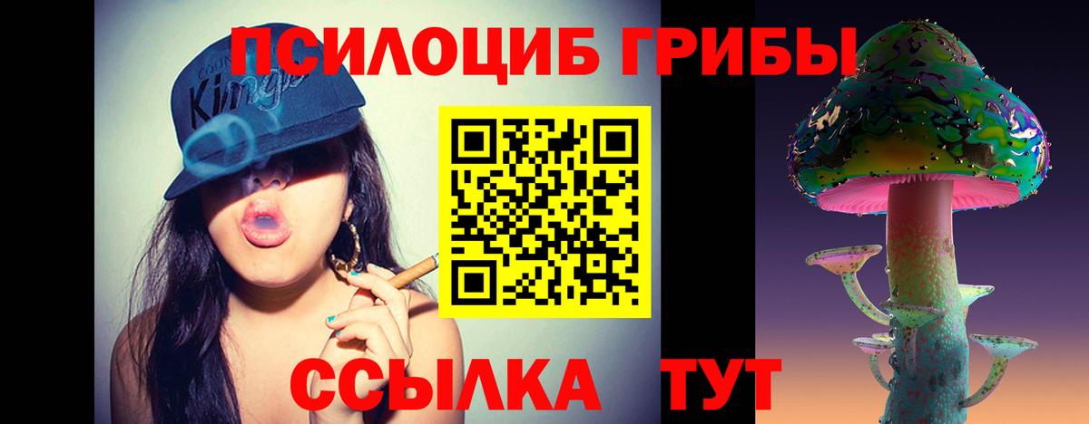 Галлюциногенные грибы GOLDEN TEACHER  Вход с VPN  Галлюциногенные грибы Cubensis  Вичуга 